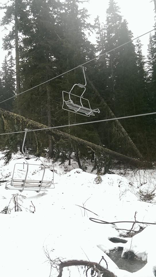[Image: Tree_falls_on_new_chair_lift_and_takes_o...er_4_2.jpg]