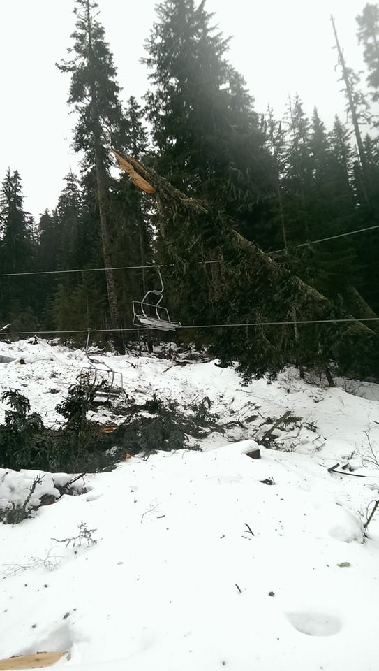 [Image: Tree_falls_on_new_chair_lift_and_takes_o...er_4_5.jpg]