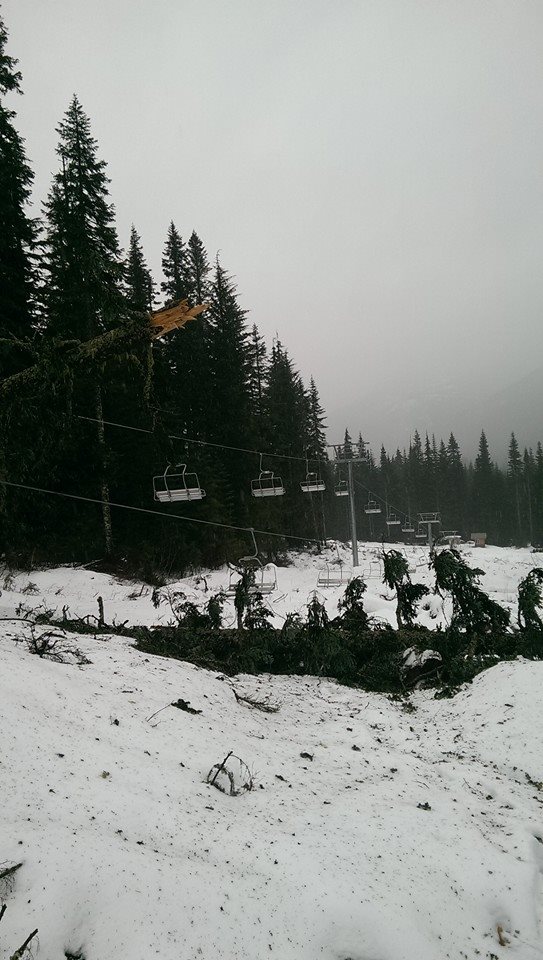 [Image: Tree_falls_on_new_chair_lift_and_takes_o...er_4_7.jpg]